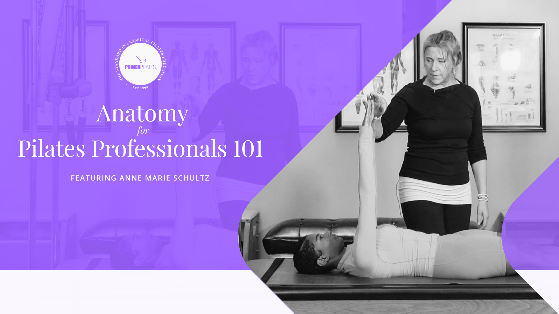 Anatomy for Pilates Professionals 101